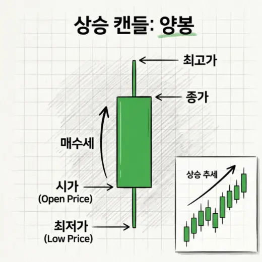 주식에서-양봉
