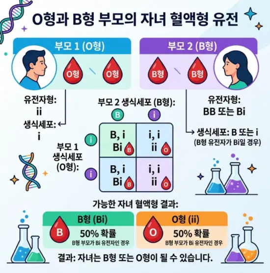 O형과 B형 부모 사이에서 태어날 수 있는 자녀의 혈액형